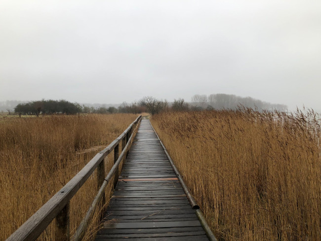 Beler alternative Bildbezeichnung